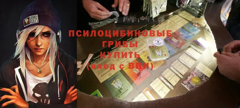 Псилоцибиновые грибы Magic Shrooms  shop телеграм  Болохово  mega сайт 